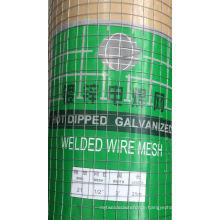 China Wholesale Professional Manufacture Galvanized Welded Wire Mesh